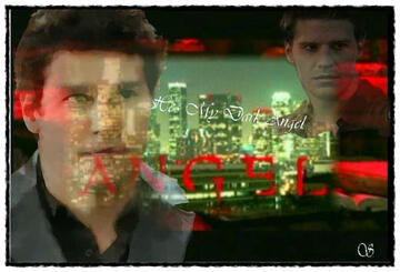 040.jpg