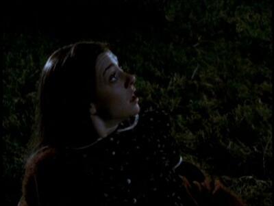 Willow